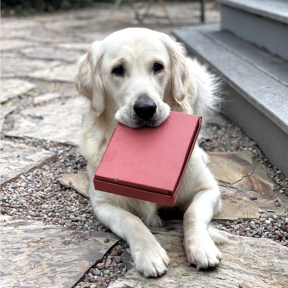 Meet your Posher, Karen